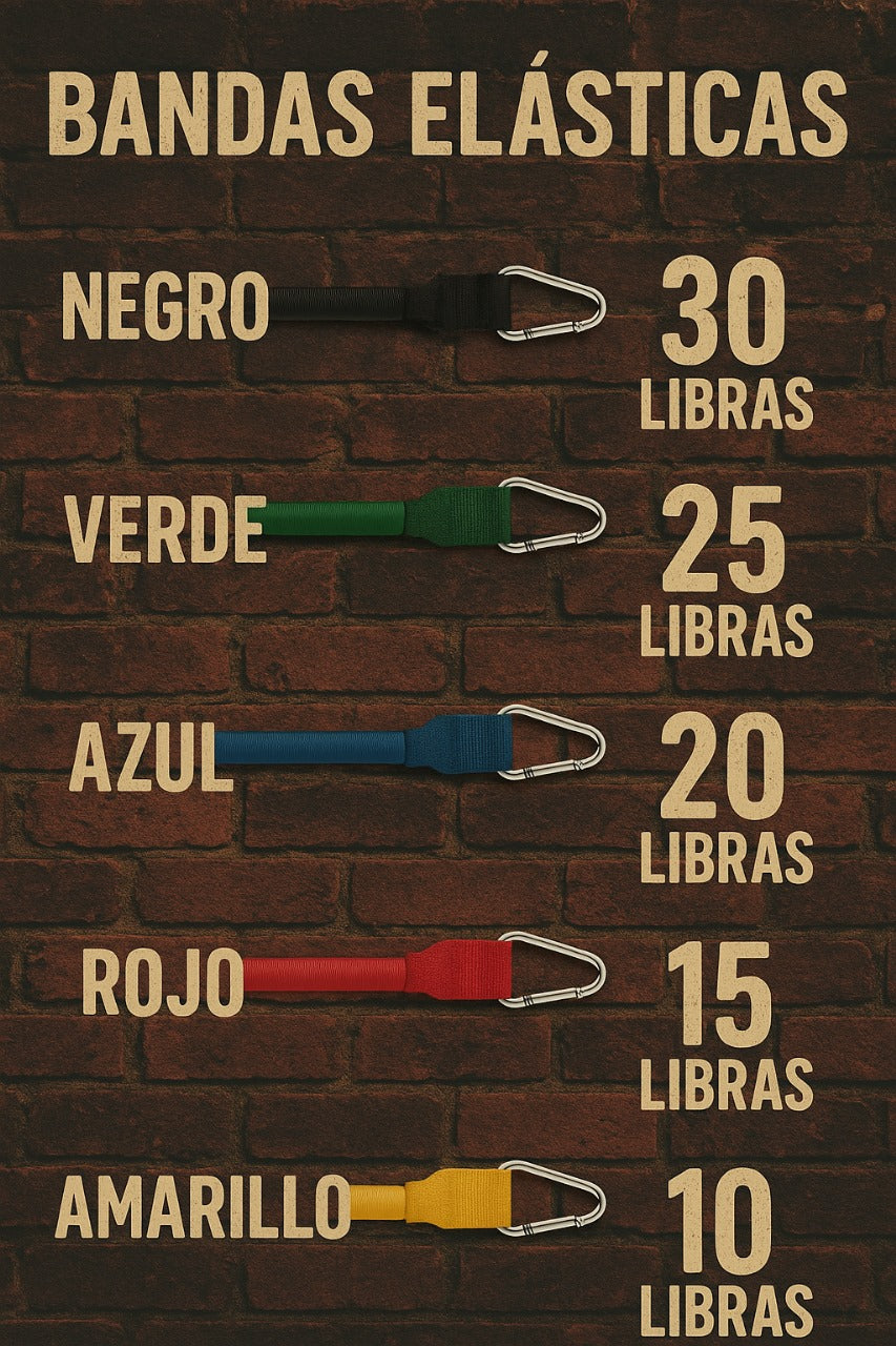 Kit de Bandas elásticas 💪🏻Tonificación y Recuperación
